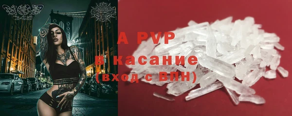 стафф Белокуриха