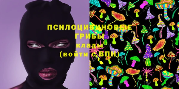 стаф Беломорск