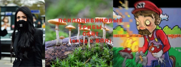 стафф Белокуриха