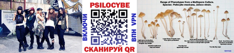 Псилоцибиновые грибы Psilocybine cubensis Купить где Северобайкальск