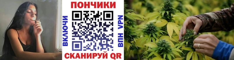Купить  Северобайкальск  Каннабис индика 